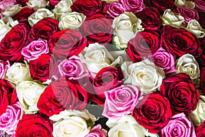 A large bouquet of roses