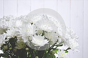 Large bouquet of white chrysanthemums with green stems stands against a white wooden wall. close-up