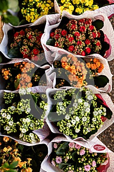 Large bouquets of colorful flowers wrapped up at a grab and go outdoor flower shop in Rome Italy