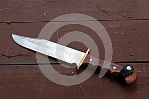 Large Bowie Knife