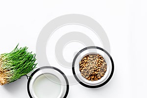 Large bowl of pet - cat food with plant on white background top view mockup