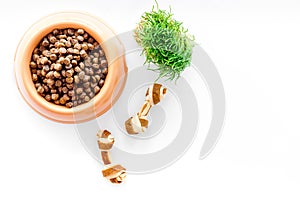 Large bowl of pet - dog food with toy and plant on white background top view mockup