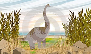 A large brachiosaurus dinosaur stands in the grass on the seashore. Prehistoric flora and fauna.