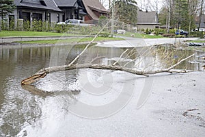 Large branches are used to block roads after a huge storm flooded homes.