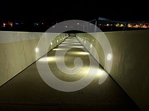 Large Bridge at Night