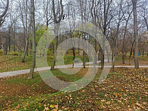 A large bridge over a small river in the autumn forest. Beautiful columns in the long bridge