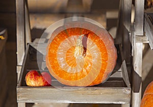 A large bright ripe pumpkin Jackolantern
