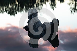 Large broken piece of driftwood floating on a lake