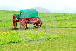 Large buckboard