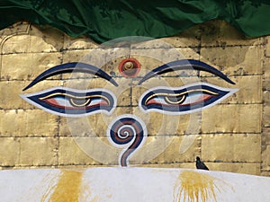 Large Buddha eyes