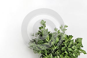 A large bunch of fresh organic green parsley, dill on a white background.