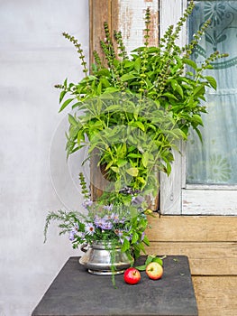 A large bunch of lemon basil and a bouquet of herbs with in a metal sugar bowl a ranetki