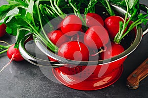 Large bunch of raw fresh garden radish in red colander