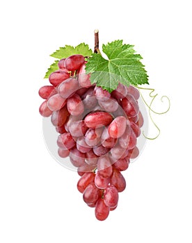 A large bunch of red grape with green leaves