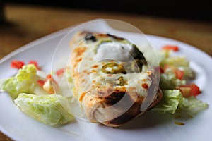 Large Burrito on a white plate