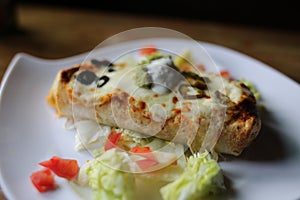 Large Burrito on a white plate