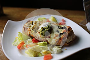 Large Burrito on a white plate