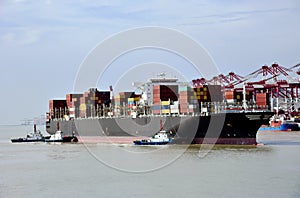 Large cargo container ship arriving to the port of Yangshan, China.