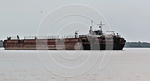A large cargo ship is anchored in the Danube Delta.