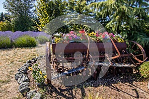 A large cart of colorful flowers in garden