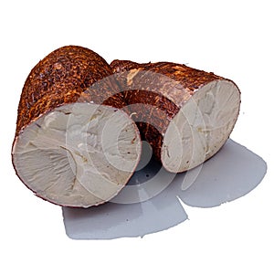 a large cassava root plant with a white background