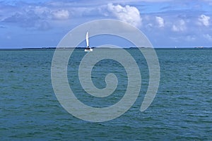 Large Catamaran Sailing on the Caribbean Sea