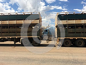 Large cattle trailer road train in Queensland Australia