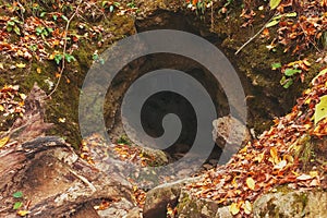 Large cave entrance in the autumn forest