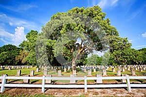 Large Cemetery, Graveyard With Multiple Headstones