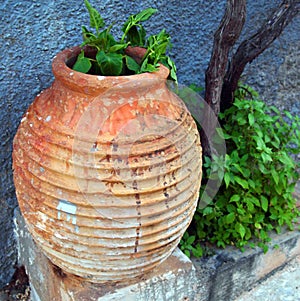 Large Ceramic Pot