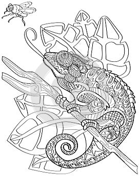 Large Chameleon On End Of Stick Sticking Out Tongue To Reach Fly Colorless Line Drawing. Huge Lizard Catching Insect