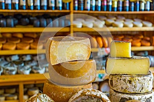 Cheese heads on the counter in a gastronomic store