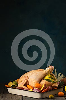 A large chicken stuffed with an apple with vegetables and citrus fruits, copy space