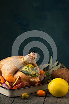 A large chicken stuffed with an apple with vegetables and citrus fruits, ready for baking