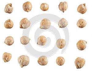 Large chickpea or garbanzo beans isolated on white background