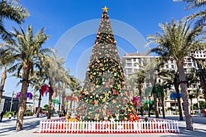 Large Christmas Tree in Dubai, Town Square Park, amont green palm trees
