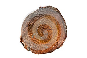 Large circular piece of wood cross section with tree ring texture pattern and cracks isolated