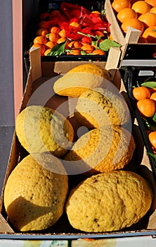 Large citrons on a crate in a fruit market.