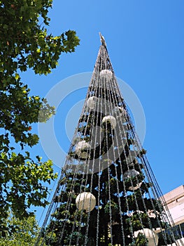 Large Civic Christmas Tree