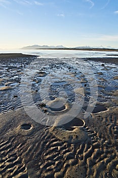 Large clam holes on sandy beach at low tide in Southeast Alaska