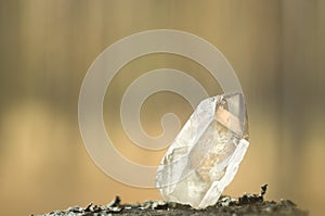 Large clear pure transparent great royal crystal of quartz chalcedony diamond brilliant on nature blurred bokeh background closeup