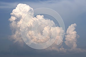 a large cloud growing from the ground