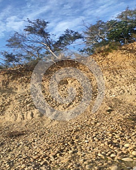 Large cobbles and lonely tree on a mountain. small tree backgruond ..