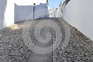 Large Cobblestone path