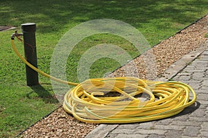 Large coiled yellow hose pipe