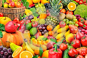 Large collection of fruits and vegetables.