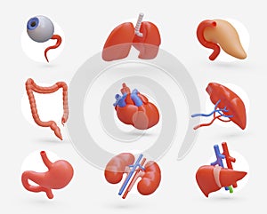 Large collection of realistic human organs. Icons for medical application