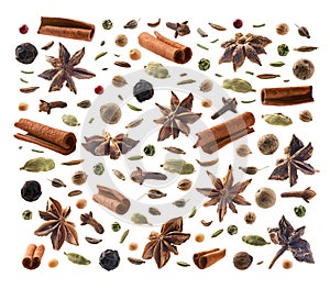 Large collection of seasonings and spices on a white background