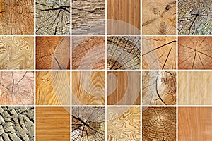 Large collection of various wooden textures.
