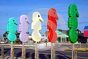 Colorful seahorses